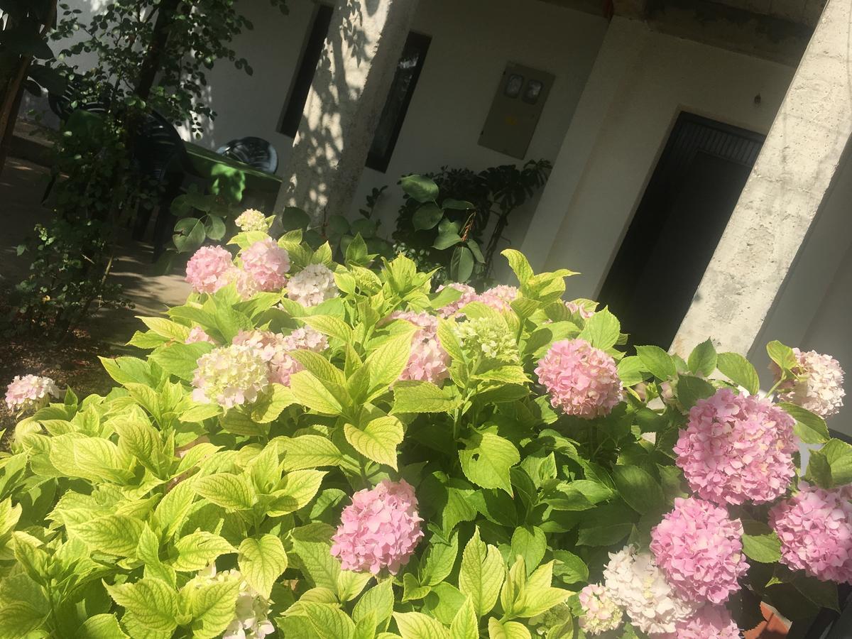 Guesthouse Star 莫斯塔尔 外观 照片